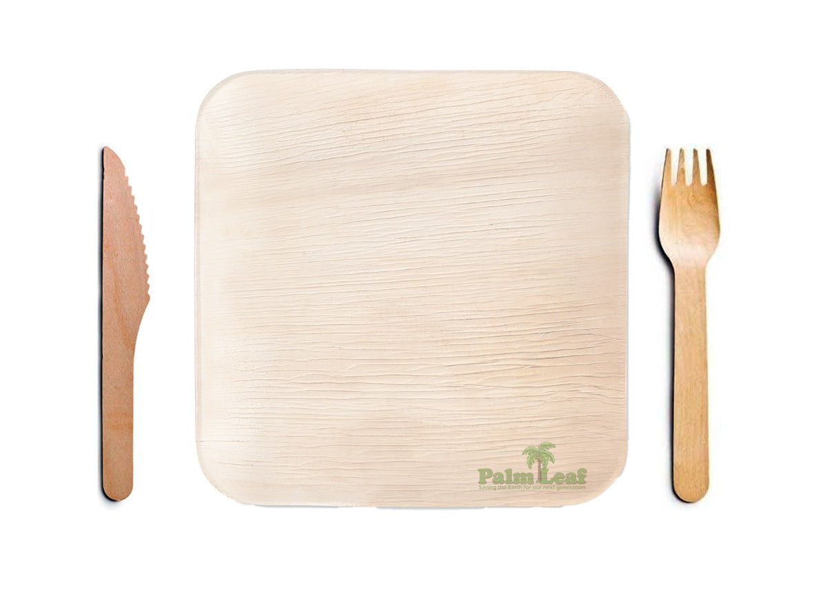 Disposable Cutlery (Individual Boxes)