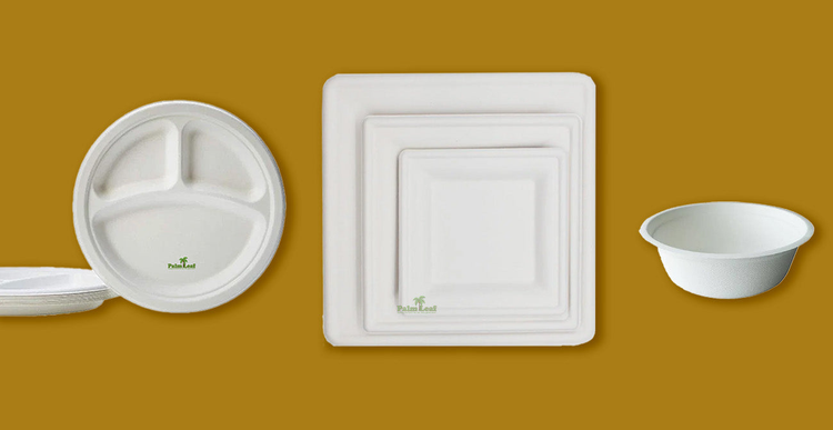 Bagasse Plates & Bowls