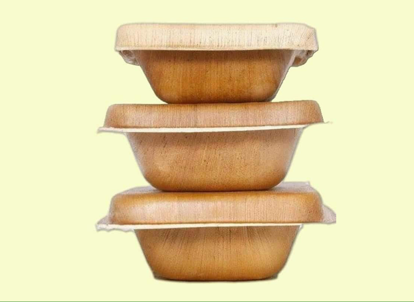 Takeaway Box - Palm Leaf Container